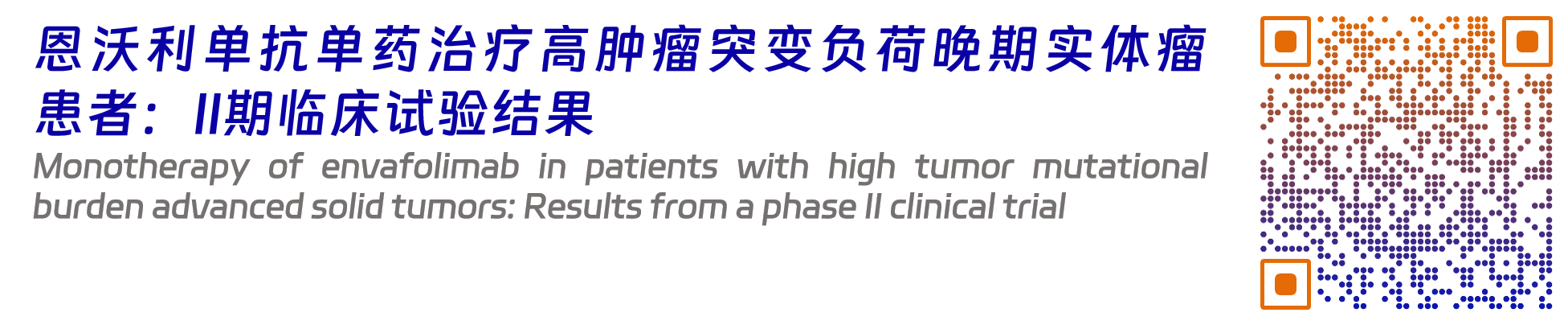 恩维达1.png