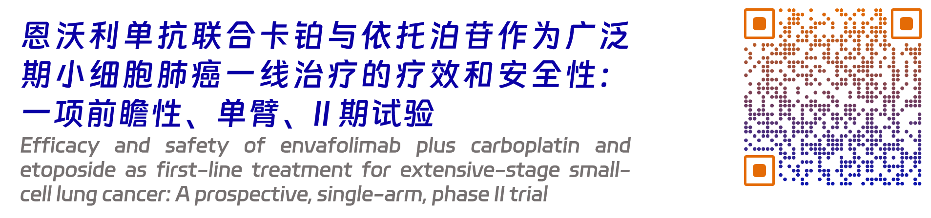 恩维达2.png